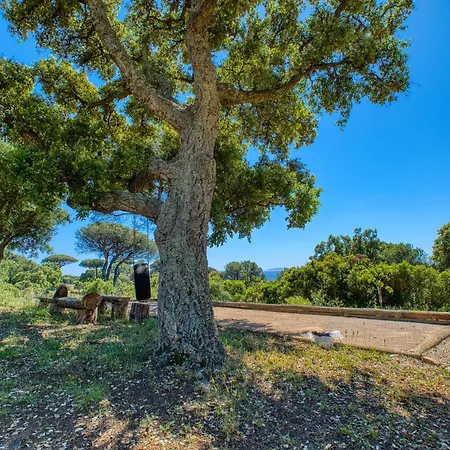 Avec Vue Dans Le Golfe De Saint Tropez, à 15 Min à Pied, Calme Et Nature Villa La Croix-Valmer