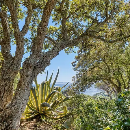 Villa Avec Vue Dans Le Golfe De Saint Tropez, à 15 Min à Pied, Calme Et Nature La Croix-Valmer